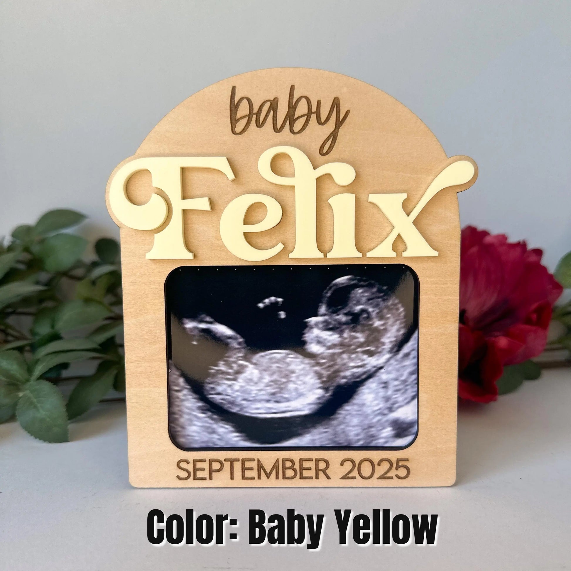 Ultrasound Photo Frame Magnet Luna Beam Creations